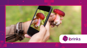 The Best Apps to Identify Plants