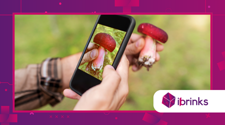 The Best Apps to Identify Plants